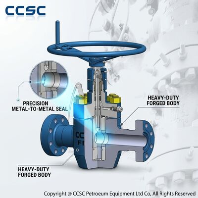 Service acide API 6A soupape de porte FF HH H2S résistant à la forge en acier forgé Sceaux sous pression Bonnet 5000psi Tête de puits de gaz acide